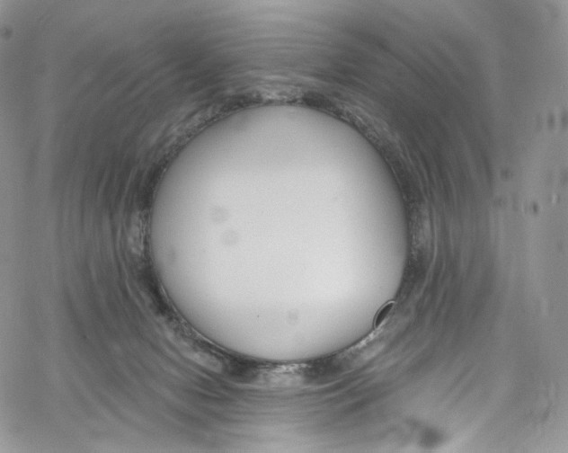 X0000069360078200606021503