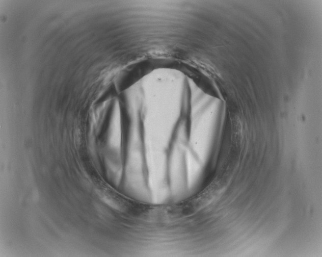 X0000069360080200606021503