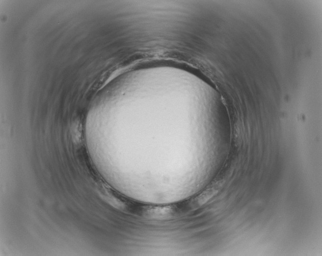 X0000069360081200606021503