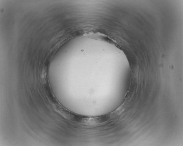 X0000069360082200606021503