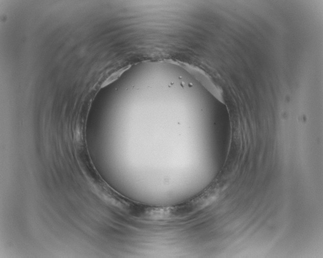 X0000069360084200606021503