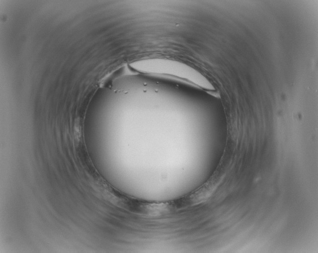 X0000069360085200606021503