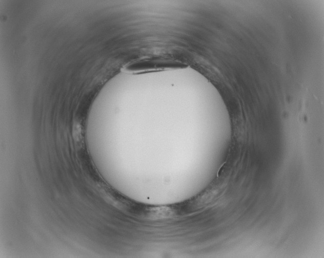 X0000069360087200606021503