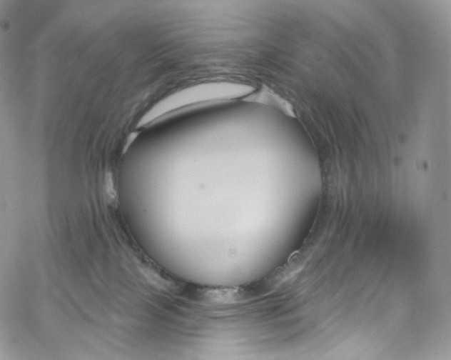 X0000069360089200606021504