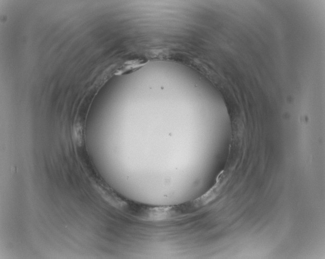 X0000069360090200606021504