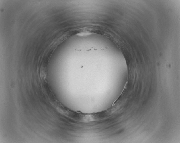 X0000069360091200606021504