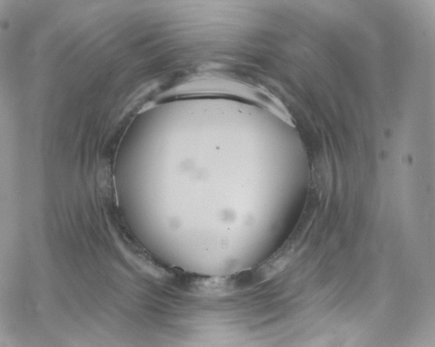 X0000069360092200606021504