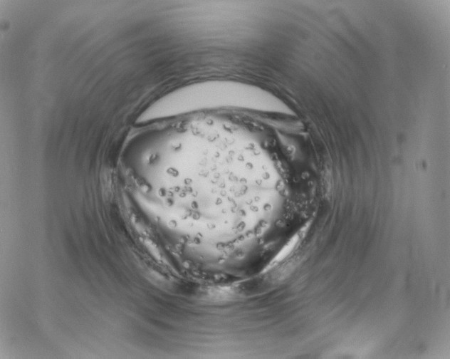 X0000069360093200606021504