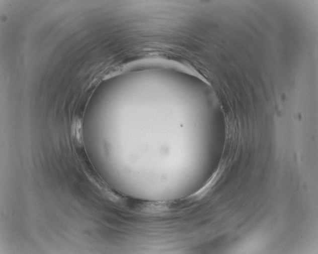 X0000069360094200606021504