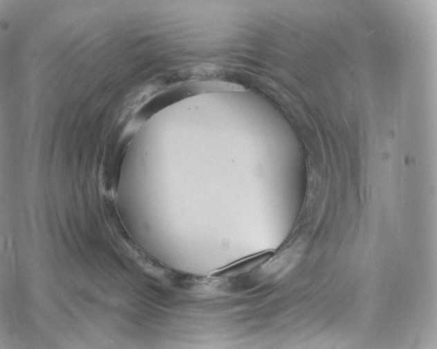 X0000069360096200606021504