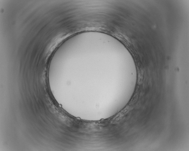 X0000069360098200606021503