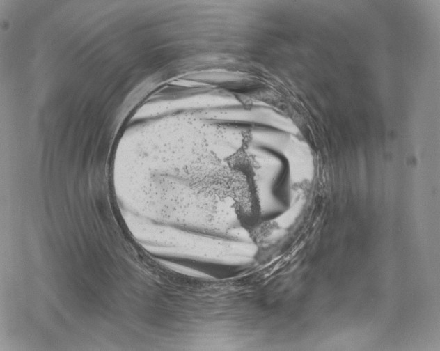 X0000069360099200606021503