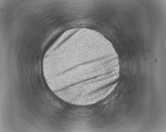 X0000069360100200606021503