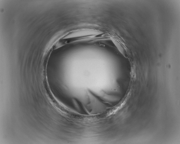 X0000069360101200606021503