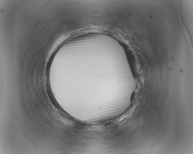 X0000069360102200606021503