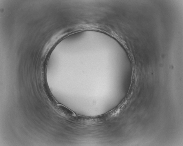 X0000069360103200606021503