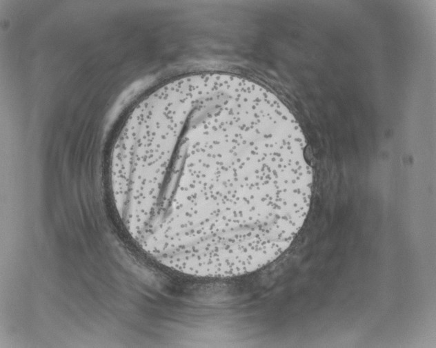 X0000069360104200606021503