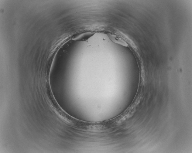 X0000069360105200606021503