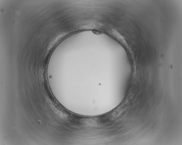 X0000069360106200606021503