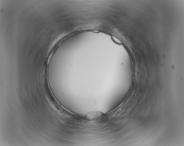 X0000069360107200606021503