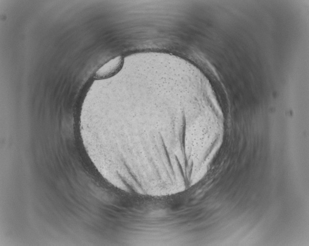 X0000069360108200606021503