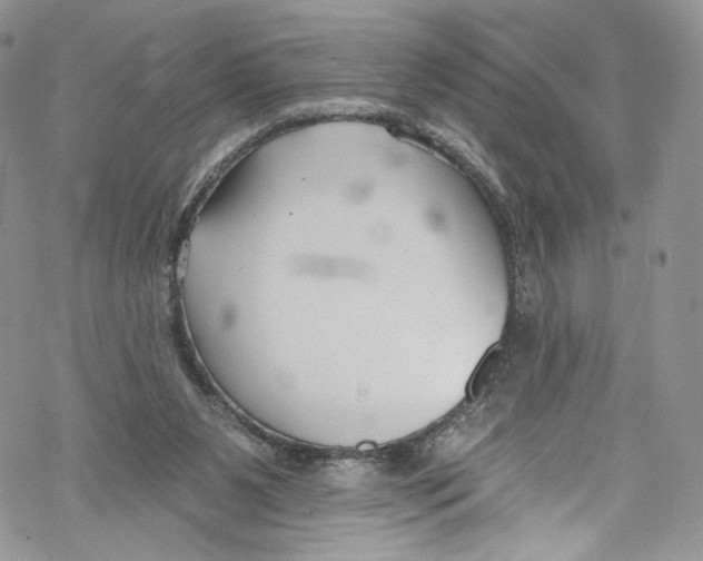 X0000069360111200606021503