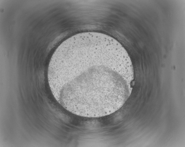 X0000069360112200606021503