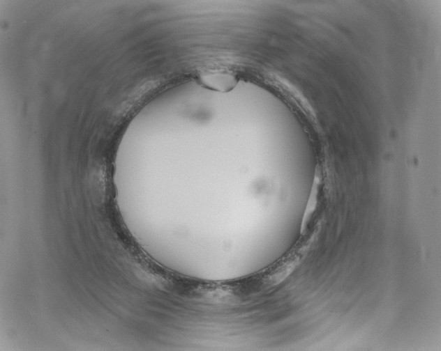 X0000069360113200606021503