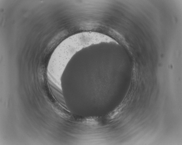 X0000069360114200606021503