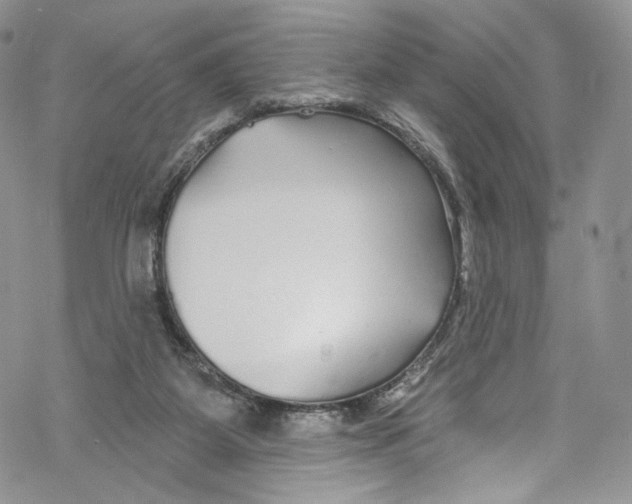 X0000069360115200606021503