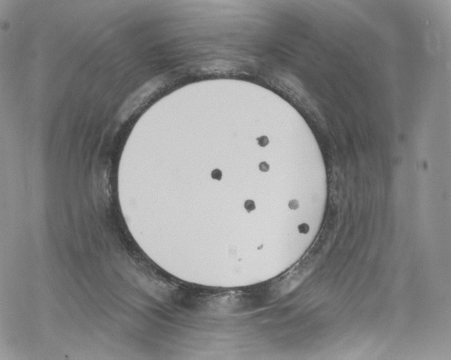 X0000069360116200606021503