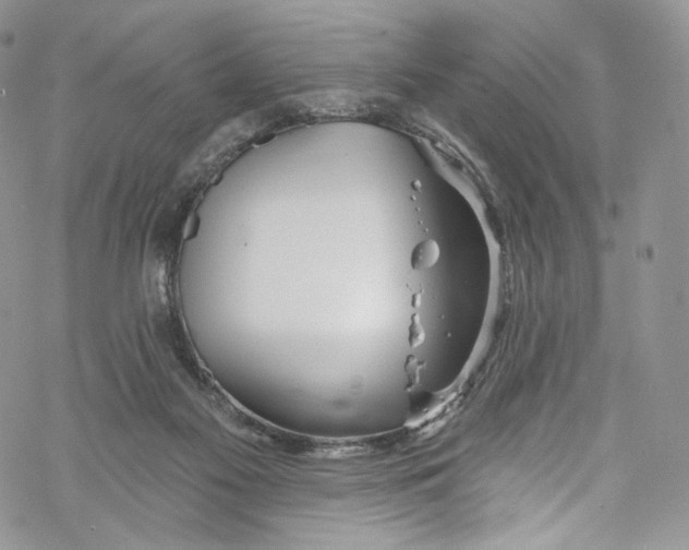 X0000069360117200606021503