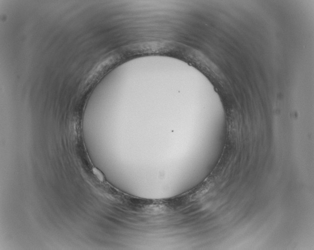 X0000069360119200606021503