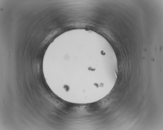 X0000069360120200606021502