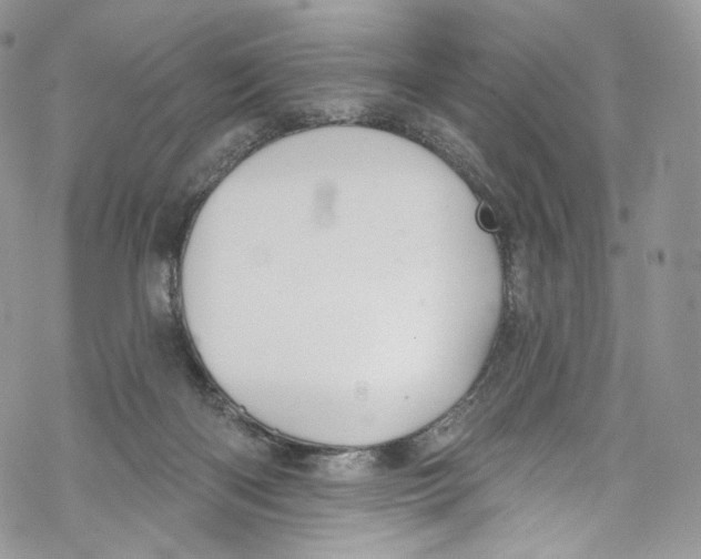 X0000069360122200606021502