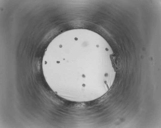 X0000069360124200606021502