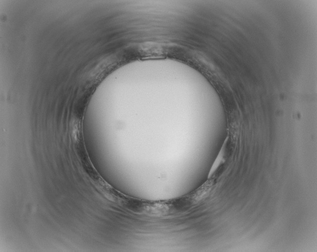 X0000069360125200606021502