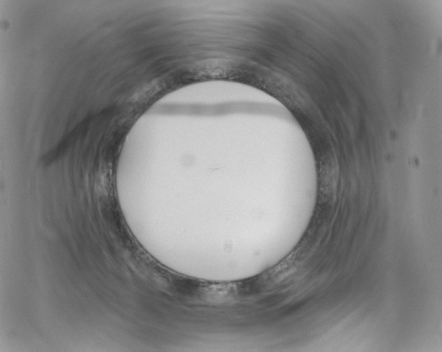 X0000069360126200606021502