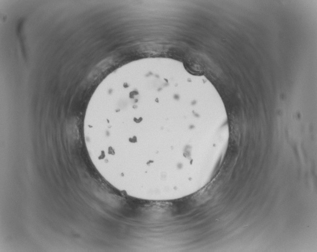 X0000069360128200606021502