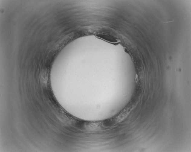 X0000069360129200606021502