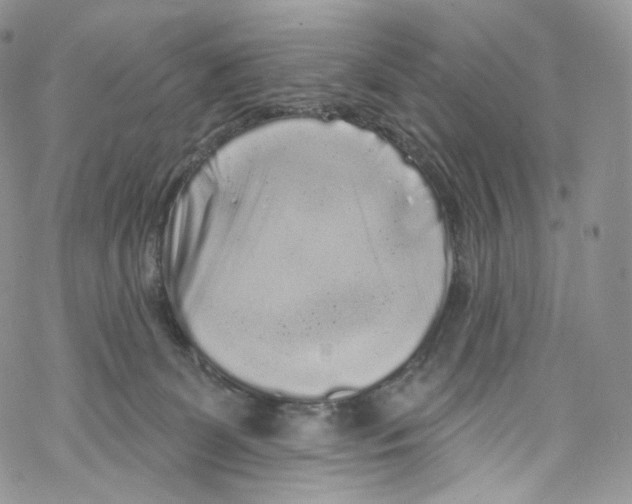 X0000069360131200606021502