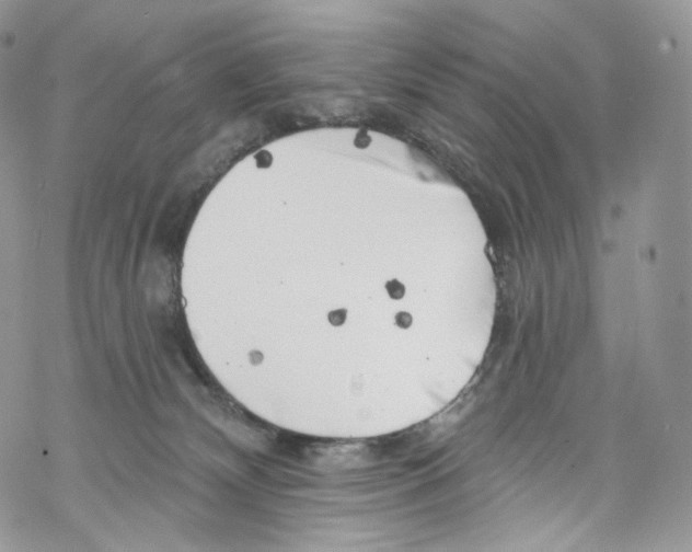 X0000069360132200606021502