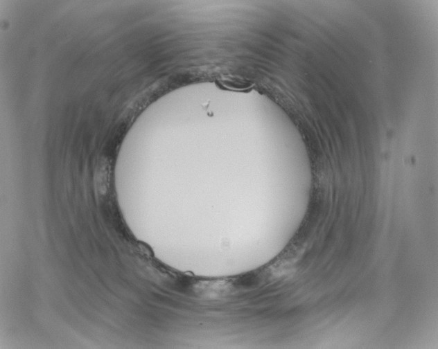 X0000069360133200606021502