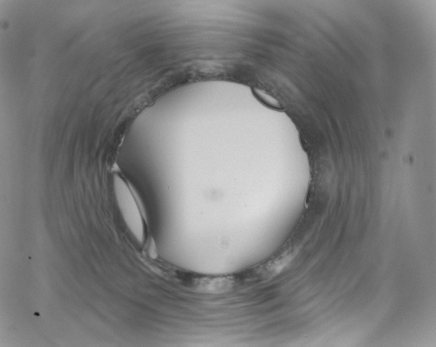 X0000069360135200606021502