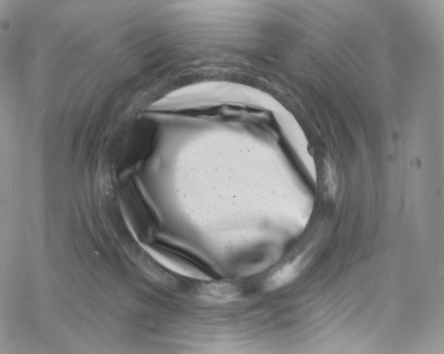 X0000069360137200606021502