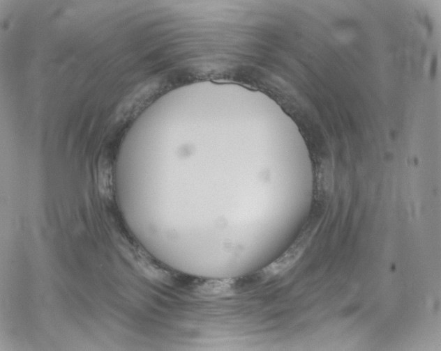 X0000069360138200606021502