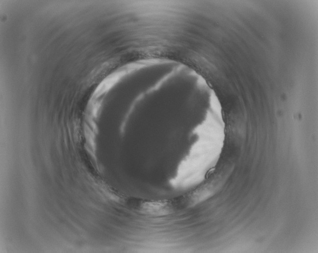 X0000069360139200606021502