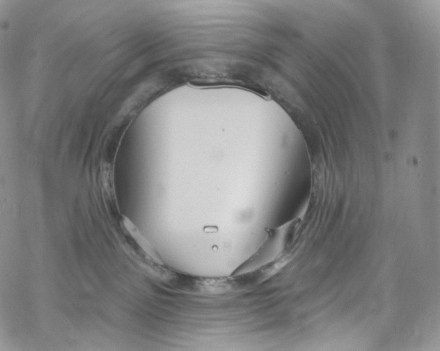 X0000069360141200606021502