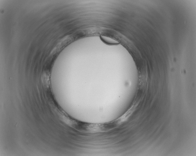 X0000069360142200606021502