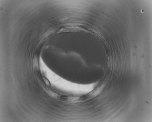 X0000069360143200606021502